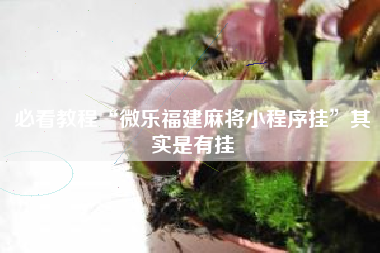 必看教程“微乐福建麻将小程序挂”其实是有挂