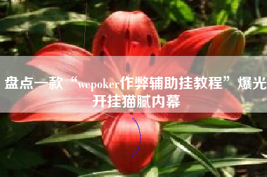 盘点一款“wepoker作弊辅助挂教程”爆光开挂猫腻内幕