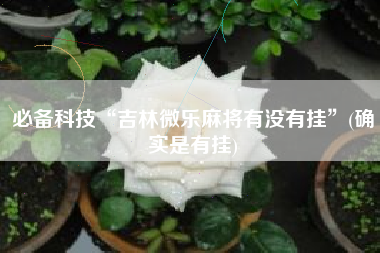 必备科技“吉林微乐麻将有没有挂”(确实是有挂)