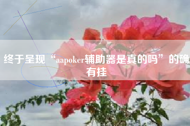 终于呈现“aapoker辅助器是真的吗”的确有挂