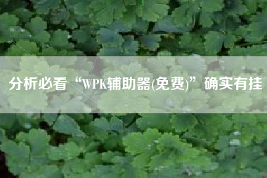 分析必看“WPK辅助器(免费)”确实有挂