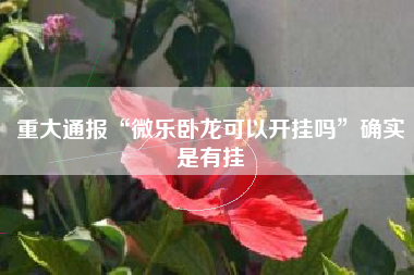 重大通报“微乐卧龙可以开挂吗”确实是有挂 重大通报“微乐卧龙可以开挂吗”确实是有挂