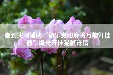 查到实测辅助“微乐贵阳麻将万能开挂器”爆光开挂猫腻详情