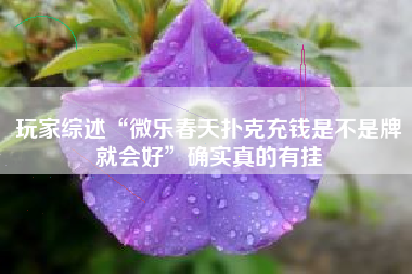 玩家综述“微乐春天扑克充钱是不是牌就会好”确实真的有挂