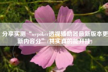 分享实测“wepoker透视辅助器最新版本更新内容分”(其实真的能开挂)
