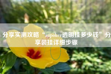 分享实测攻略“aapoker透明挂多少钱”分享装挂详细步骤 分享实测攻略“aapoker透明挂多少钱”分享装挂详细步骤