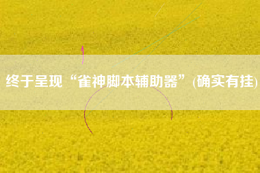 终于呈现“雀神脚本辅助器”(确实有挂)