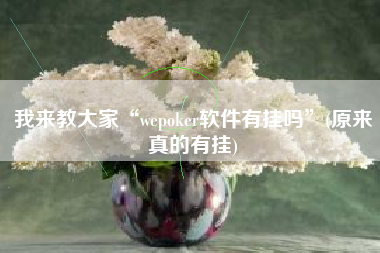 我来教大家“wepoker软件有挂吗”(原来真的有挂) 我来教大家“wepoker软件有挂吗”(原来真的有挂)