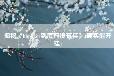揭秘“hhpoker到底有没有挂”(确实能开挂)