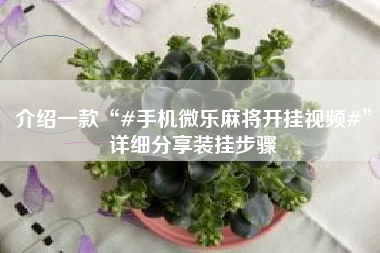 介绍一款“#手机微乐麻将开挂视频#”详细分享装挂步骤