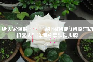 给大家通报一下“德扑圈智能AI策略辅助机器人”详细分享装挂步骤 给大家通报一下“德扑圈智能AI策略辅助机器人”详细分享装挂步骤