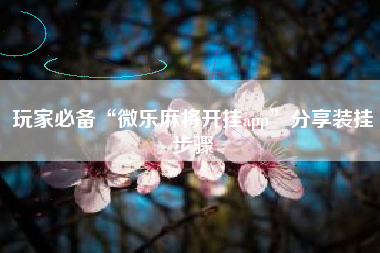 玩家必备“微乐麻将开挂app”分享装挂步骤