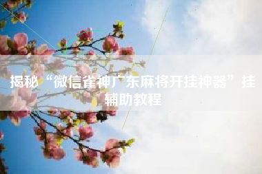 揭秘“微信雀神广东麻将开挂神器”挂辅助教程 揭秘“微信雀神广东麻将开挂神器”挂辅助教程
