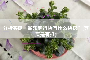 分析实测“微乐跑得快有什么诀窍”(其实是有挂) 分析实测“微乐跑得快有什么诀窍”(其实是有挂)