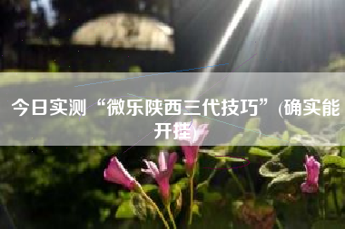今日实测“微乐陕西三代技巧”(确实能开挂)