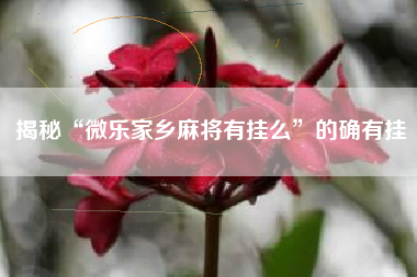 揭秘“微乐家乡麻将有挂么”的确有挂