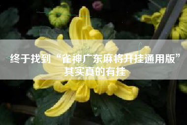 终于找到“雀神广东麻将开挂通用版”其实真的有挂