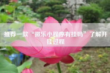 推荐一款“微乐小程序有挂吗”了解开挂过程