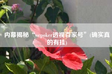 内幕揭秘“wepoker透视百家号”(确实真的有挂)