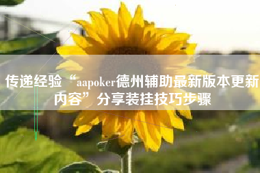 传递经验“aapoker德州辅助最新版本更新内容”分享装挂技巧步骤