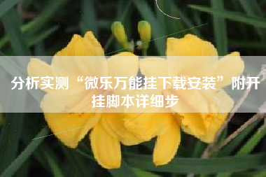 分析实测“微乐万能挂下载安装”附开挂脚本详细步 分析实测“微乐万能挂下载安装”附开挂脚本详细步