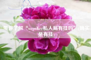 带你了解“wepoKer私人局有挂吗”(确实是有挂)