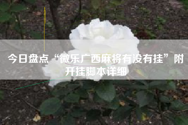 今日盘点“微乐广西麻将有没有挂”附开挂脚本详细