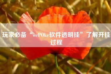 玩家必备“wePOke软件透明挂”了解开挂过程