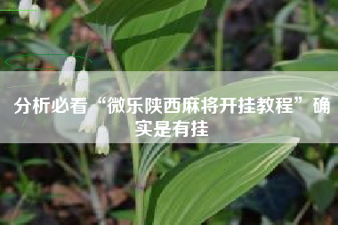 分析必看“微乐陕西麻将开挂教程”确实是有挂 分析必看“微乐陕西麻将开挂教程”确实是有挂