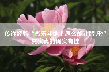 传递经验“微乐斗地主怎么能让牌好?”其实真的确实有挂 传递经验“微乐斗地主怎么能让牌好?”其实真的确实有挂