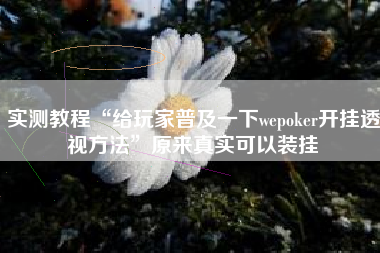 实测教程“给玩家普及一下wepoker开挂透视方法”原来真实可以装挂