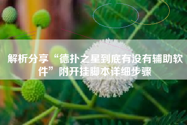 解析分享“德扑之星到底有没有辅助软件”附开挂脚本详细步骤