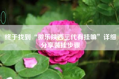 终于找到“微乐陕西三代有挂嘛”详细分享装挂步骤