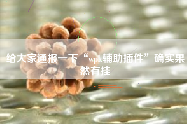 给大家通报一下“wpk辅助插件”确实果然有挂