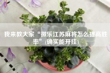 我来教大家“微乐江苏麻将怎么提高胜率”(确实能开挂)