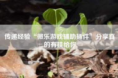 传递经验“微乐游戏辅助插件”分享真的有挂给你