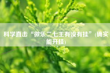 科学直击“微乐二七王有没有挂”(确实能开挂) 科学直击“微乐二七王有没有挂”(确实能开挂)