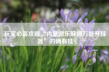 玩家必备攻略“内蒙微乐麻将万能开挂器”的确有挂