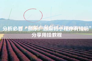 分析必看“微乐广西麻将小程序有挂吗”分享用挂教程