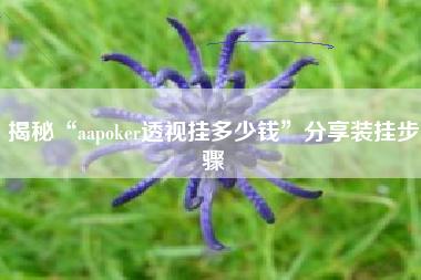 揭秘“aapoker透视挂多少钱”分享装挂步骤 揭秘“aapoker透视挂多少钱”分享装挂步骤