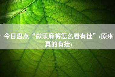 今日盘点“微乐麻将怎么看有挂”(原来真的有挂)