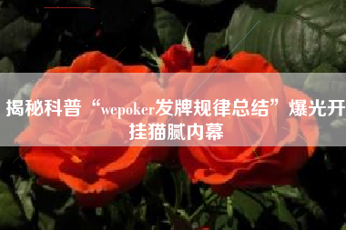 揭秘科普“wepoker发牌规律总结”爆光开挂猫腻内幕