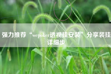 强力推荐“wepoker透视挂安装”分享装挂详细步 强力推荐“wepoker透视挂安装”分享装挂详细步