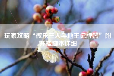 玩家攻略“微乐三人斗地主记牌器”附开挂脚本详细