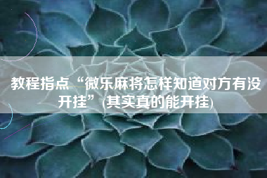 教程指点“微乐麻将怎样知道对方有没开挂”(其实真的能开挂)