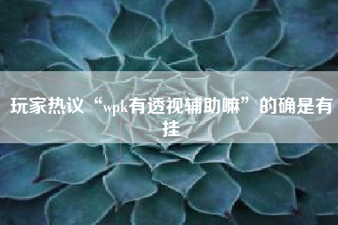玩家热议“wpk有透视辅助嘛”的确是有挂 玩家热议“wpk有透视辅助嘛”的确是有挂