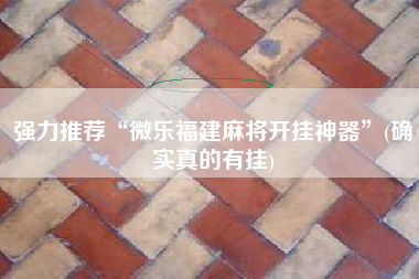 强力推荐“微乐福建麻将开挂神器”(确实真的有挂) 强力推荐“微乐福建麻将开挂神器”(确实真的有挂)