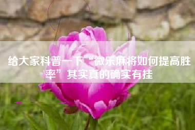 给大家科普一下“微乐麻将如何提高胜率”其实真的确实有挂