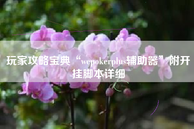 玩家攻略宝典“wepokerplus辅助器”附开挂脚本详细 玩家攻略宝典“wepokerplus辅助器”附开挂脚本详细