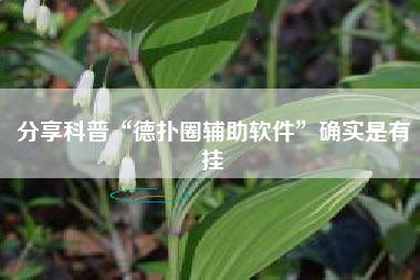 分享科普“德扑圈辅助软件”确实是有挂 分享科普“德扑圈辅助软件”确实是有挂